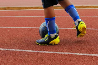 开云体育软件-NBA球员训练营最新发展动态，nba球员日常训练项目